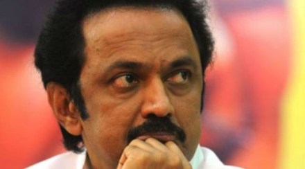 M K Stalin, The Madras High Court, Jallikattu, Chief Justice Sanjay Kishan Kaul, Justice M Sundar, High Court, P Wilson, DMK M K Stalin, The Madras High Court, Jallikattu, Chief Justice Sanjay Kishan Kaul, Justice M Sundar, High Court, P Wilson, DMK