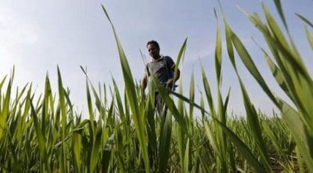 Cabinet gives nod to signing of agriculture pact with Portugal, Kenya