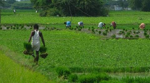 The Budget 2017-18, though not being seen as populist, proposed heavy public spending towards boosting rural agriculture sector.