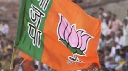 The panel will primarily plan and execute campaign strategies, handle distribution of poll material and organise public rallies and meetings with workers, BJP said in a communication today. (PTI)