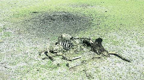 Bolivia, which has been dealing with its worst drought ever, is seeking India’s expertise in areas such as developing dams, rain water harvesting and waste water management.