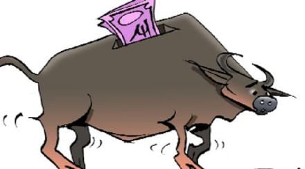 The law around DDT has evolved over the recent years and key changes were made with an intent to rationalise the provisions. The law around DDT has evolved over the recent years and key changes were made with an intent to rationalise the provisions.
