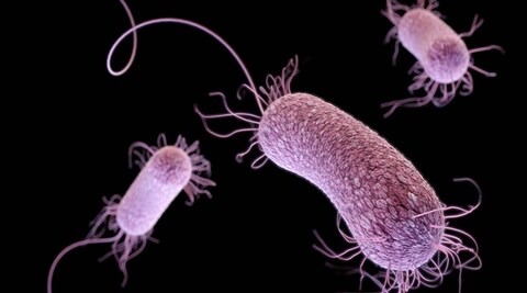 Study: Superbug infections found in Chinese hospitals