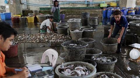 fisheries sector, West Bengal, fish production, fish exports, fish processing, ational Fisheries Development Board