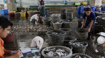 fisheries sector, West Bengal, fish production, fish exports, fish processing, ational Fisheries Development Board
