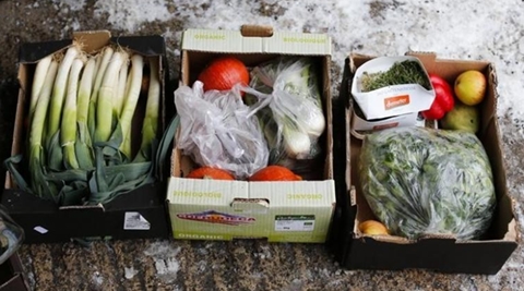 Europe Food Waste: 88 million tons a year; auditors decry European Union - World News