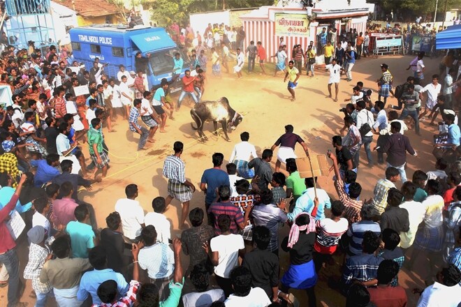 Tamil star Suriya has issued a legal notice to animal rights advocacy group PETA for its claim that the actor was supporting Jallikattu to promote his upcoming movie "Si3", saying this has caused "mental stress" to him and asked the NGO to apologise or face legal proceedings. (PTI)