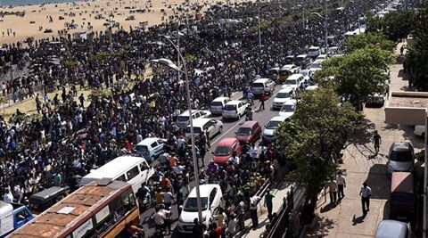 jallikattu, jallikattu protest, marina beach, jallikattu tamil nadu, jallikattu news, jallikattu update, narendra modi, modi on jallikattu, modi jallikattu, tamil nadu, o panneerselvam, sasikala, tamil nadu news