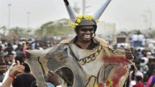 jallikattu ban, jallikattu, supreme court jallikattu ruling, PETA, marina beach protests, jallikattu protest, bull taming jallikattu, pongal celebrations, tamil nadu protests jallikattu, chennai protests jallikattu, cockfight, bulbulfihht, kambala karnmataka