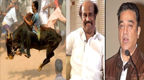 jallikattu, rajinikanth, kamal hassan, rajini jallikattu, kamal hassan jallikattu, jallikattu news, tamil nadu, tn jallikattu, jallikattu sport, jallikattu protests, jallikattu row, tamil cinema, jallikattu cinema