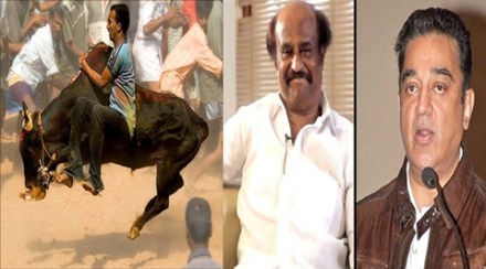 jallikattu, rajinikanth, kamal hassan, rajini jallikattu, kamal hassan jallikattu, jallikattu news, tamil nadu, tn jallikattu, jallikattu sport, jallikattu protests, jallikattu row, tamil cinema, jallikattu cinema