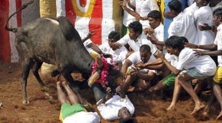 With Jayalalithaa gone from the political scene and M Karunanidhi in poor health, a few popular film stars want to fill the vacuum ahead of the next elections. (Reuters)