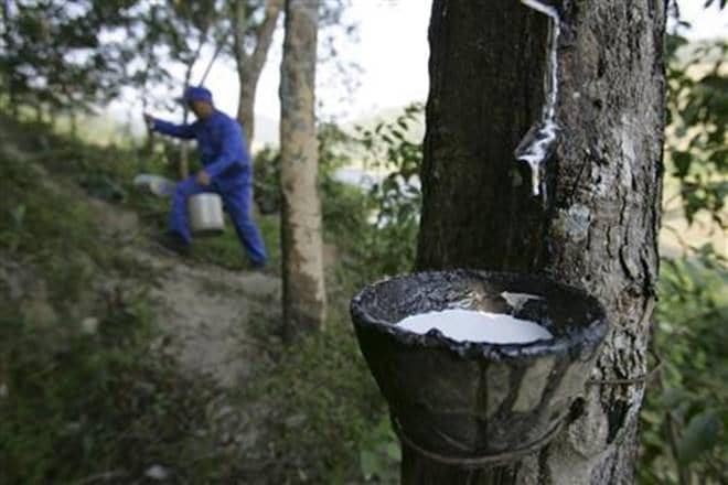 Give India rubber a booster shot, manufacturers to Narendra Modi govt Give India rubber a booster shot, manufacturers to Narendra Modi govt