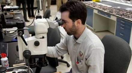 New organ in human body; check out the pathbreaking discovery