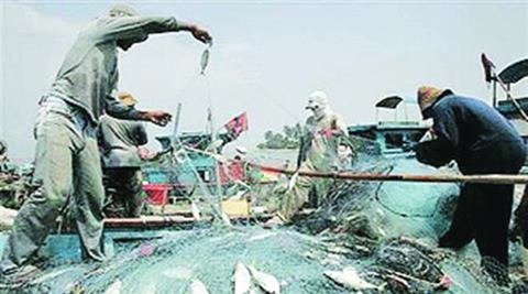 During financial year 2015-16, India exported 9,45,892 tonne of seafood worth Rs 30,420.83 crore ($4.7 billion) as against 10,51,243 tonne valued at Rs 33,441.61 crores ($5.5 billion) in FY 15. 