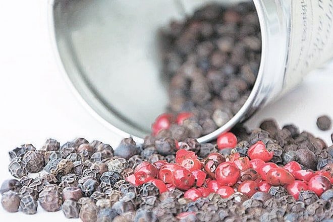Pepper in Karnataka is grown mainly in the irrigated coffee plantations and is seen to be less monsoon sensitive.