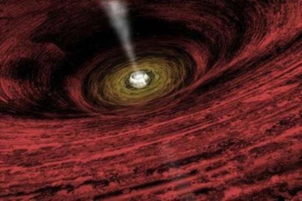 Black hole devouring star for a decade detected
