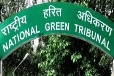 The green panel also said the work should be done expeditiously and thereafter, directed the transport department of Delhi government to register the vehicles. (PTI)