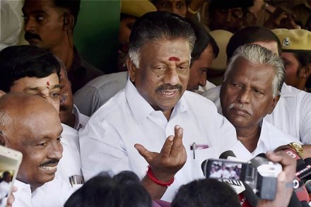 Tamil Nadu Chief Minister O Pannerselvam. (PTI) Tamil Nadu Chief Minister O Pannerselvam. (PTI)