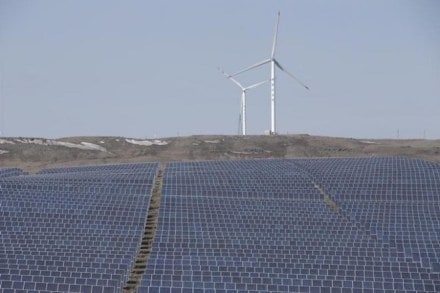 Wind power tariff dropped to a record low of Rs 3.46 per unit today in an auction of 1,000 MW capacity conducted by Solar Energy Corporation of India (SECI). (Reuters image)