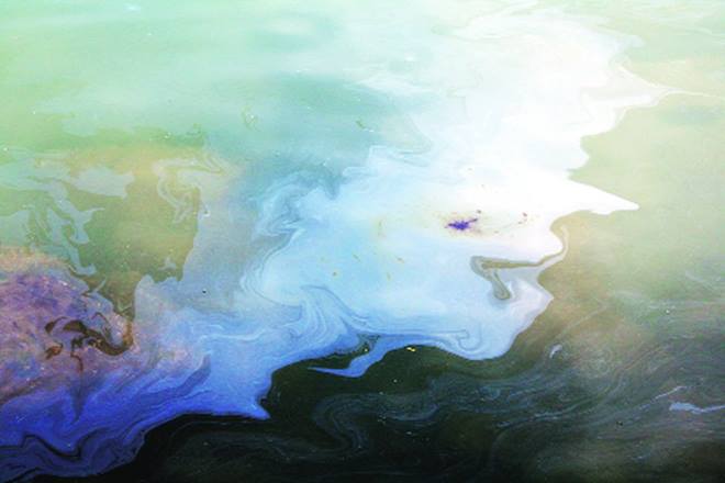 The company has identified five strains of bacteria which are grown in a bioreactor under controlled conditions at the company’s R&D facility in Faridabad. The company has identified five strains of bacteria which are grown in a bioreactor under controlled conditions at the company’s R&D facility in Faridabad.