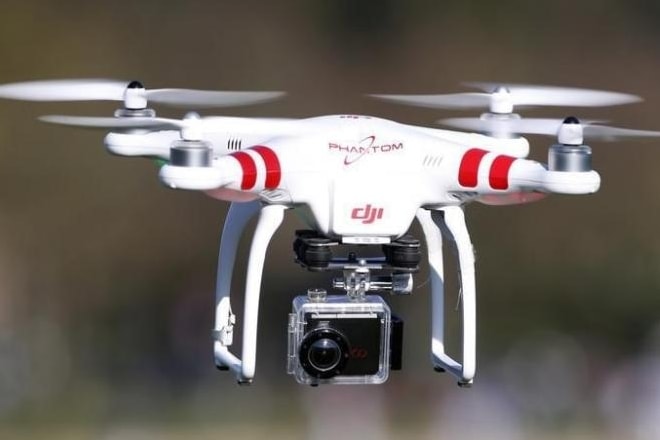 Miyako's team flew the remote-controlled drones, with hairs and gel attached, over the flowers of pink-leaved Japanese lilies. (Representative Image: Reuters) Miyako's team flew the remote-controlled drones, with hairs and gel attached, over the flowers of pink-leaved Japanese lilies. (Representative Image: Reuters)