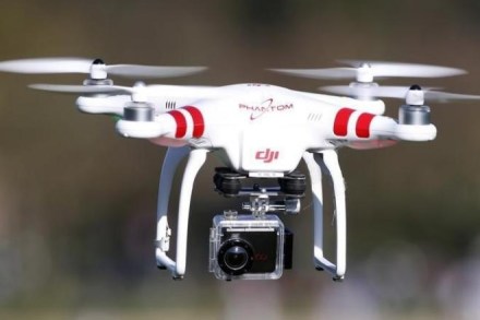 Miyako's team flew the remote-controlled drones, with hairs and gel attached, over the flowers of pink-leaved Japanese lilies. (Representative Image: Reuters)