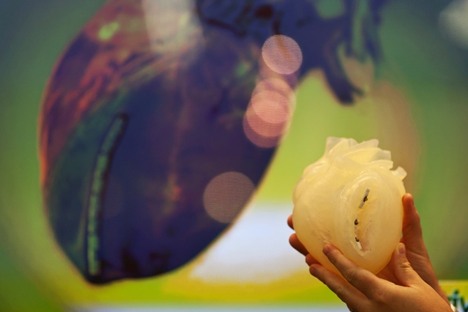New beating 3D heart tissue may improve cardiac treatment - Science ...