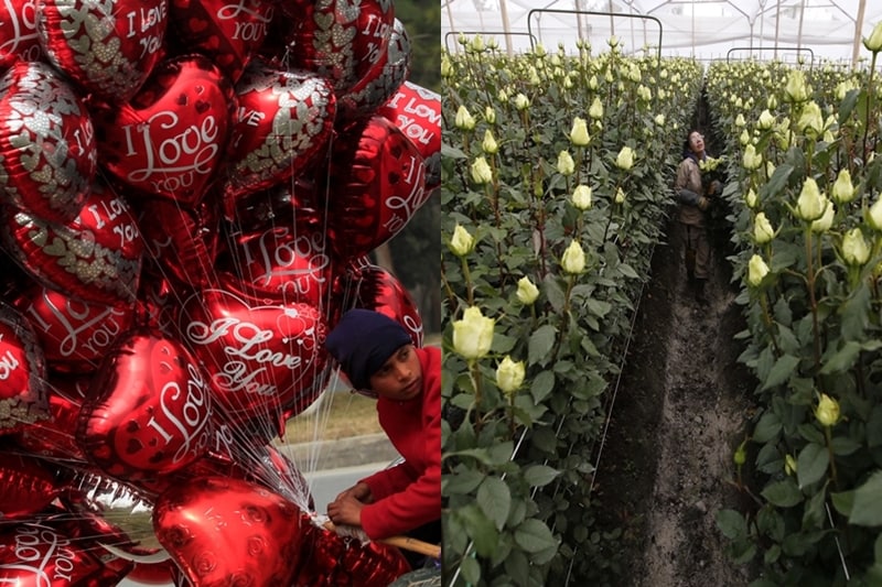 Valentine's day, Valentine's day photos, Valentine's day hearts, Valentine's day flowers, Valentine's day chocolates, Valentine's day celebrations, Valentine's day us, Valentine's day india, Valentine's day gifts, Valentine's day boyfriend, Valentine's day girlfriend