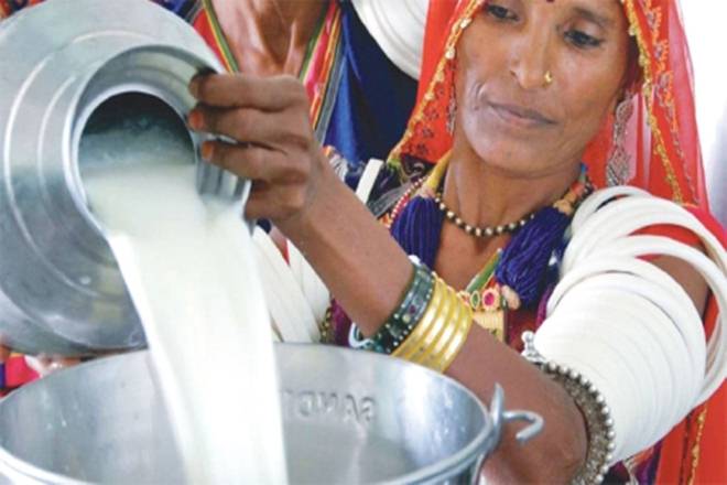 In a statement, the ministry said that the number of the milk producers and the farmers being paid through cash increased from 23.82 per cent to 72.25 per cent following the government's November 8 move to demonetise Rs 500 and Rs 1,000 currency notes. (Express photo)