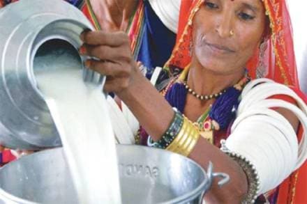 In a statement, the ministry said that the number of the milk producers and the farmers being paid through cash increased from 23.82 per cent to 72.25 per cent following the government's November 8 move to demonetise Rs 500 and Rs 1,000 currency notes. (Express photo)