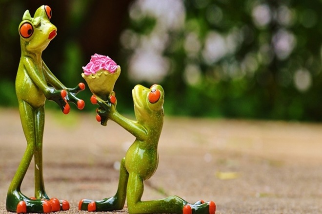 Happy propose day, Happy propose day 2017, Happy propose day greetings, Happy propose day greetings with images, Happy propose day quotes, Happy propose day images, Happy propose day status, Happy propose day messages, Happy propose day whatsappp status, Happy propose day short sms