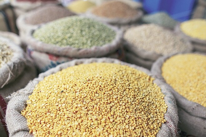 Tur prices have fallen to R4,600-4,700 per quintal while the government MSP is at R4,625 with an additional bonus of R425 per quintal declared by the government.