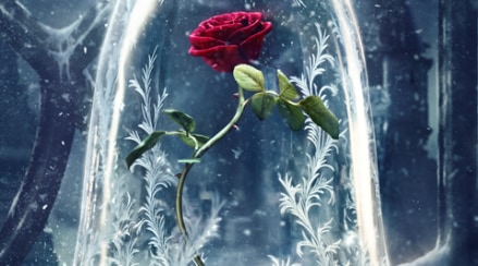 Rose day, valentine's day, roses, rose bouquet, rose colors meanings, red roses, pink roses, rose prices, roses valentine's day, valentine's gifts Rose day, valentine's day, roses, rose bouquet, rose colors meanings, red roses, pink roses, rose prices, roses valentine's day, valentine's gifts