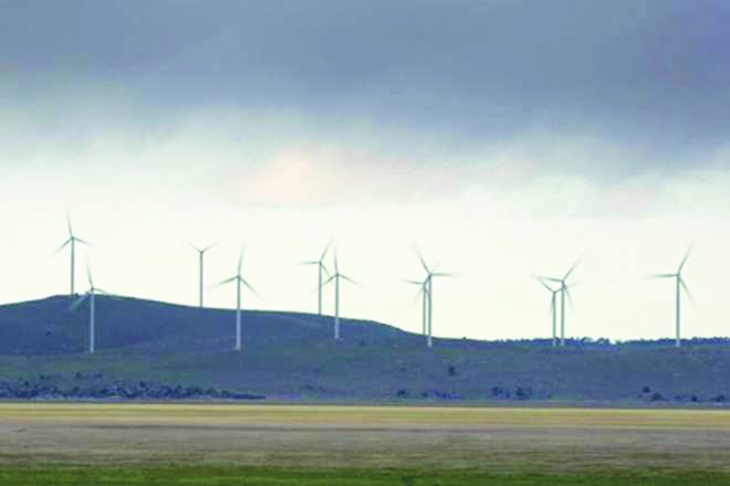 According to industry sources, the companies participating in the auction include Adani Green Energy, Hero Future Energies, ReNew Power Ventures, Inox Wind, Mytrah Energy India and Gamesa Renewable.