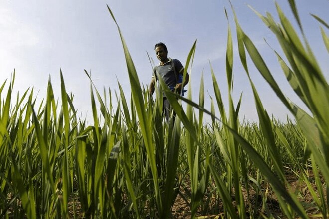 Bengaluru-based Indian Institute of Horticultural Research (IIHR), an arm of Indian Council for Agricultural Research, in the last couple of years has granted more than 465 industrial licences for production of bio-pesticides.
