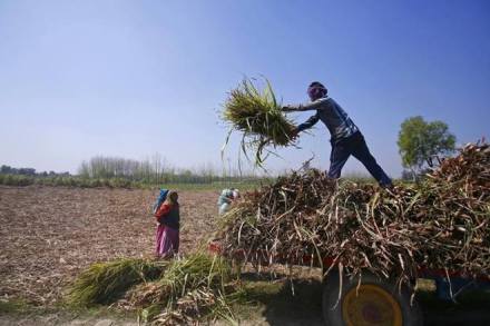 The Kotak report has some interesting numbers on the likely impact of any farm-loan waiver. (Reuters)