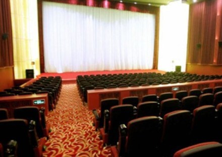 Turning single-screen cinemas into digital multiplexes and curbing online piracy will rid the Indian film industry, the world's largest movie producers, of its low-revenue bane, said a senior government official today. (PTI)