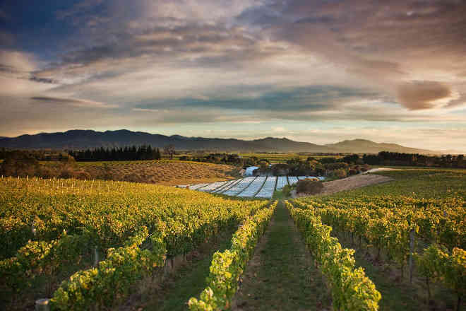 View from Eastridge vineyard at Dog Point in Marlborough