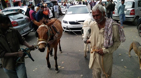 Skoda owner gets his Octavia towed by donkeys to protest against the brand’s service