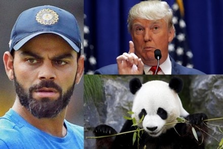 virat kohli, kohli, australian media on kohli, kohli media comparisions, everything virat kohli has been compared to, virat kohli compared to donald trump, kohli compared to panda