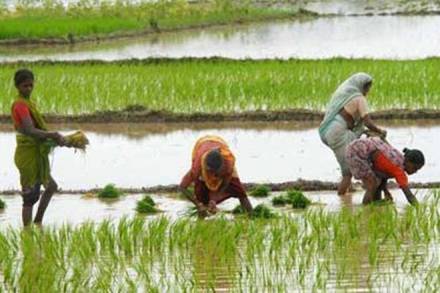 CAG, Telangana government, Aadhaar, Rythu Mitra Sangams, State Legislative Assembly, Economic Sector