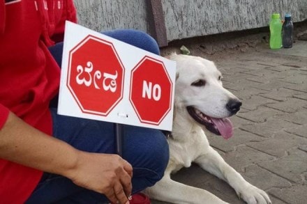 bengaluru flyover, bengaluru steel flyover, karnataka flyover ban, bengaluru, bengaluru steel flyover ban, bengaluru steel flyover protests, bengaluru airport