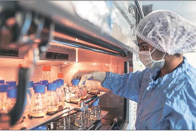 Biocon rated ‘Buy’; City says biosimilar deal a leap forward