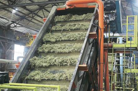 A forecast in September 2016 had projected 234 lakh tonne of sugar output. A forecast in September 2016 had projected 234 lakh tonne of sugar output.