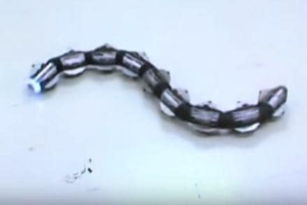 Scientists have developed a tiny, ingestible 3D printed snake-like robot that can navigate through the small intestines. (YouTube) Scientists have developed a tiny, ingestible 3D printed snake-like robot that can navigate through the small intestines. (YouTube)