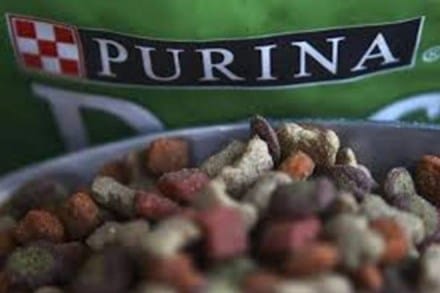 Nestle SA, United States, Mars, Pedigree, Pet Food, Purina Pet Food, PetfoodIndustry