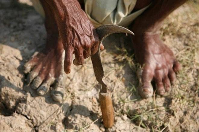 Those arguing in favour of farm loan waivers have a point when they ask why it is okay to do this for industrialists but not agriculturists. (Reuters)