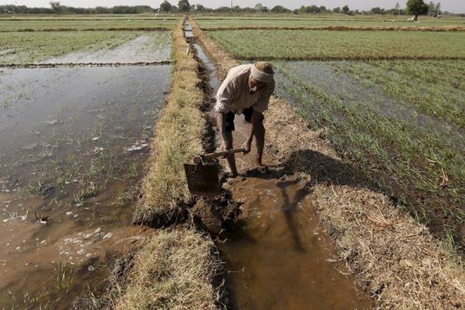 In the case of tur, for instance, retail prices are down from R118 per kg in Delhi on October 1, 2016 to R89 on March 1. (Reuters) In the case of tur, for instance, retail prices are down from R118 per kg in Delhi on October 1, 2016 to R89 on March 1. (Reuters)