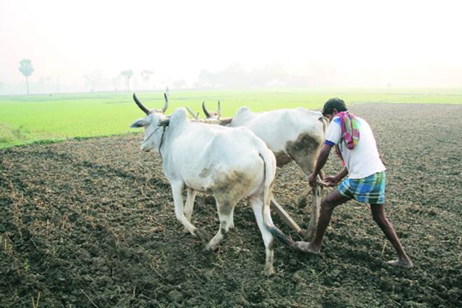 Farmer groups are planning to hold ‘Gram Sabhas’ the first of which will be held in Punatambe village of Ahmednagar district on April 3